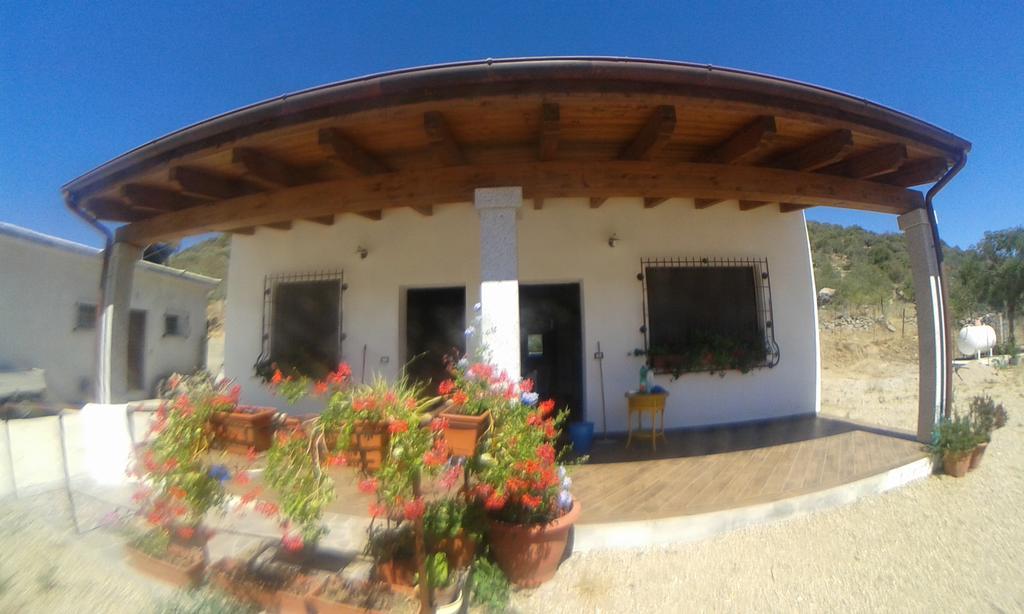 Agriturismo Locoe Oliena Extérieur photo