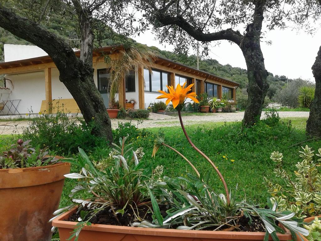 Agriturismo Locoe Oliena Extérieur photo