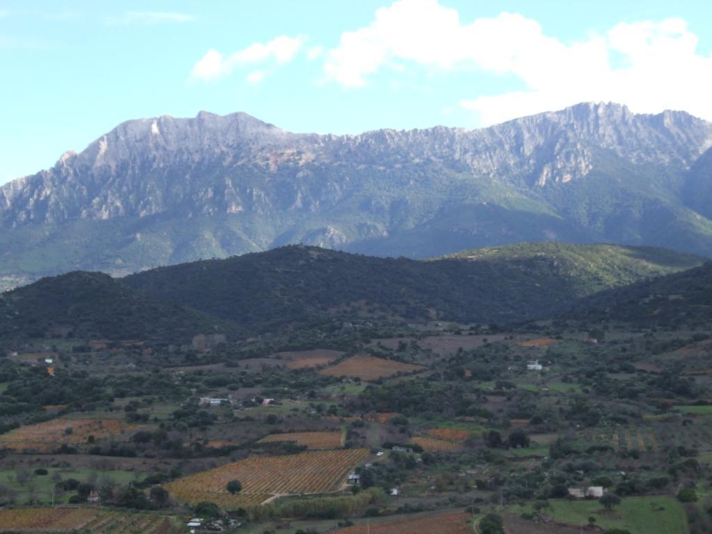 Agriturismo Locoe Oliena Extérieur photo